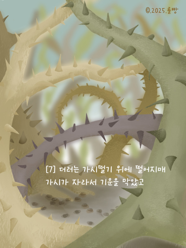씨뿌리기03.jpg