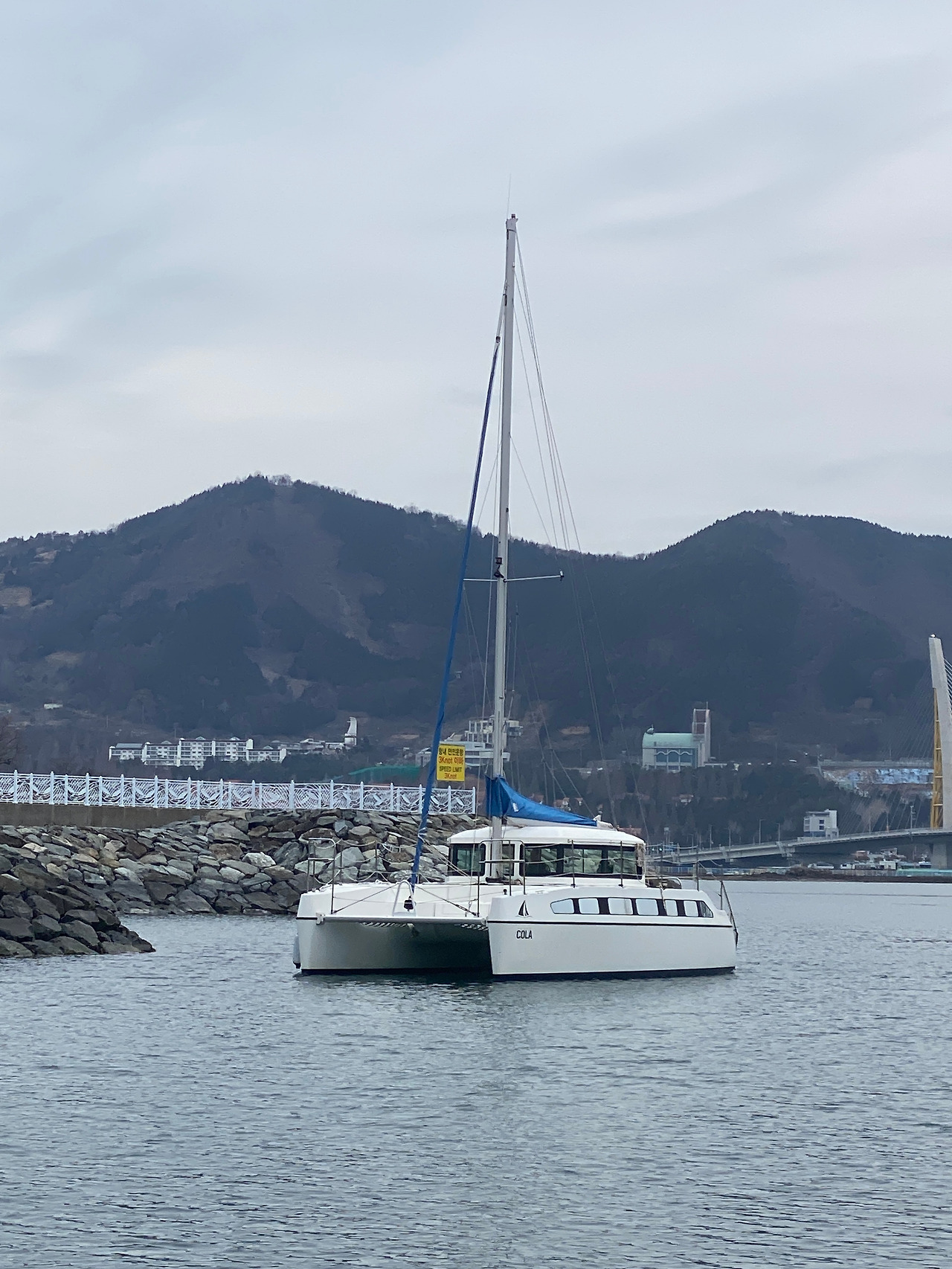 요트콜라 (12).jpg