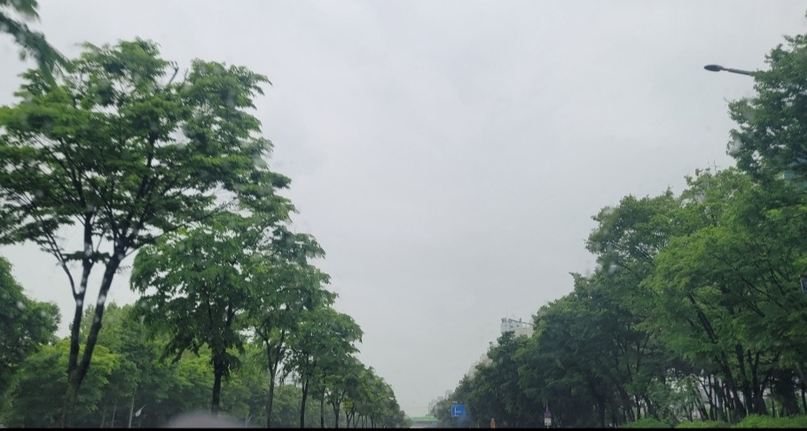 가족 파티_비 오는 오늘 사진.jpg