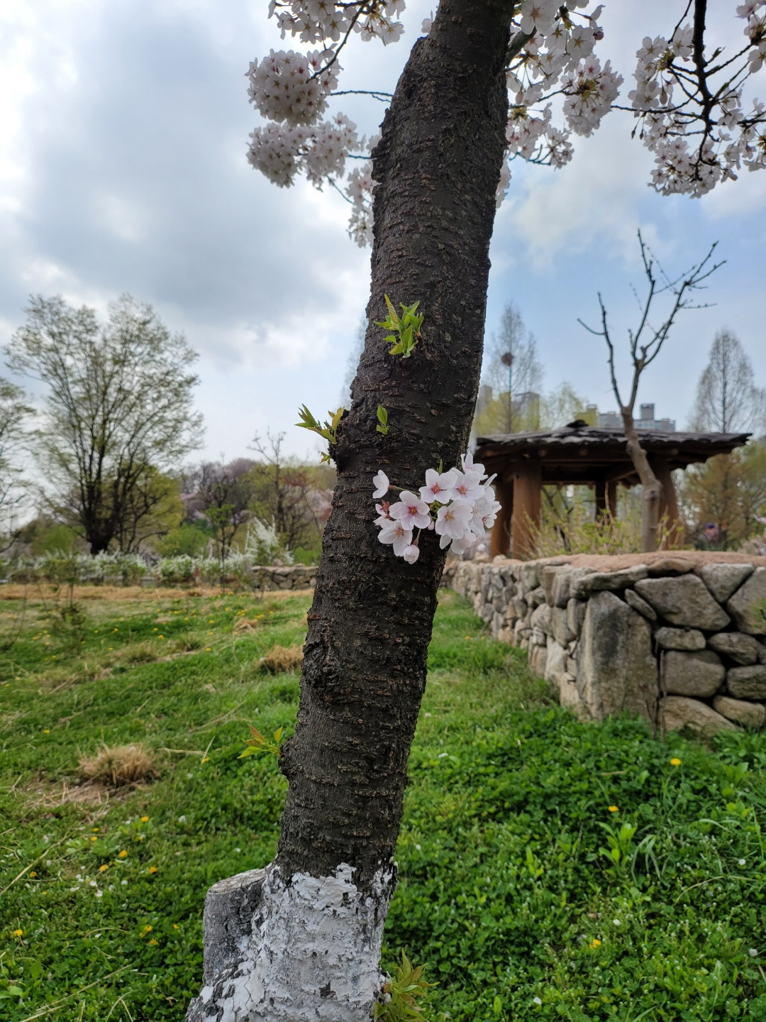 어느 시인의 글_너 지금 반항하냐 앙.jpg