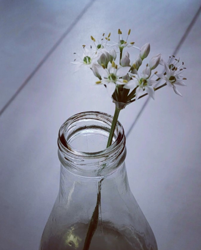 화면 캡처 2024-12-11 112708.jpg