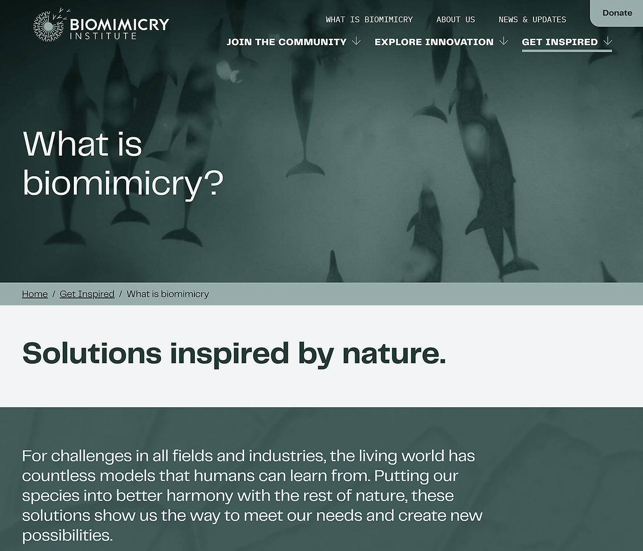 Biomimicry-Institute_green.jpg