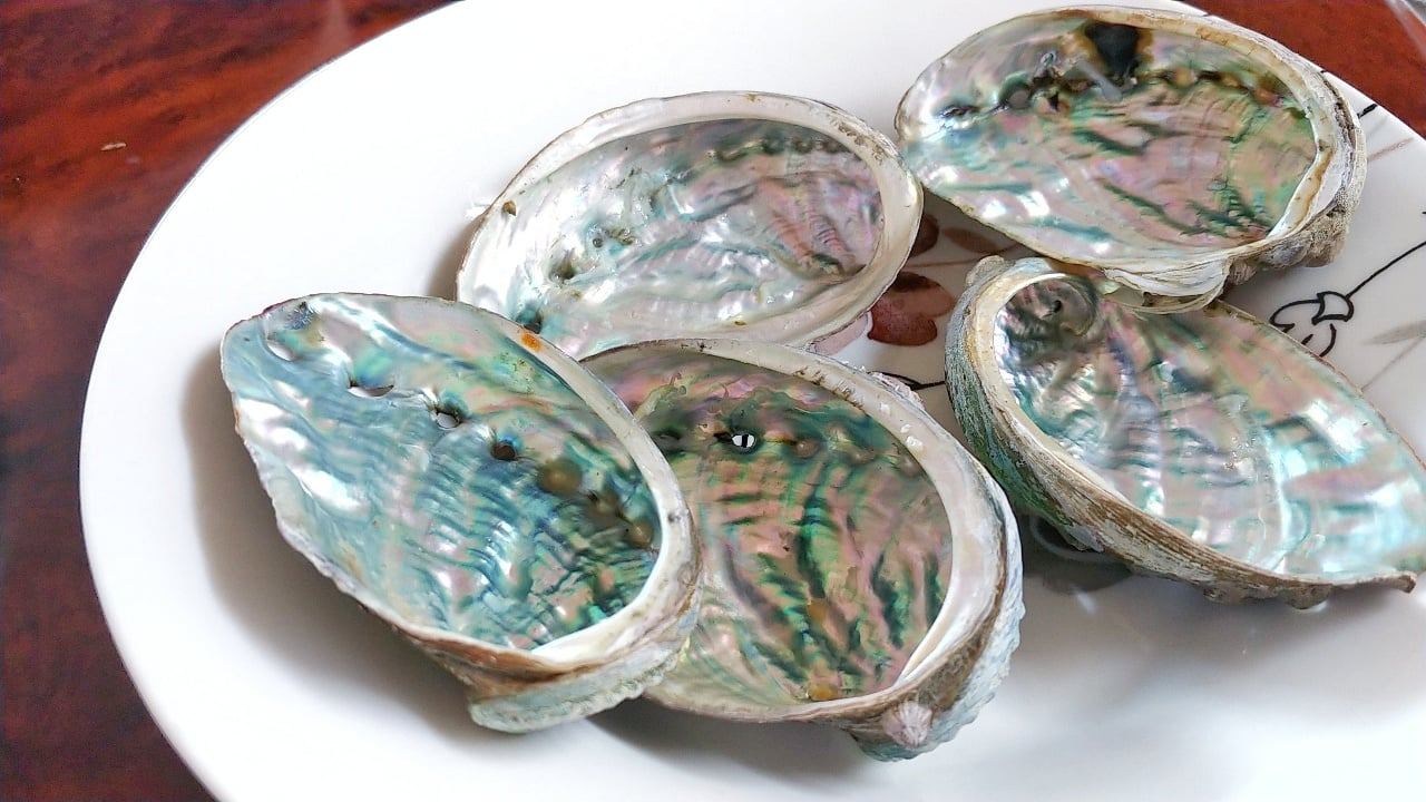 일기장 사람도서관 (3).jpg