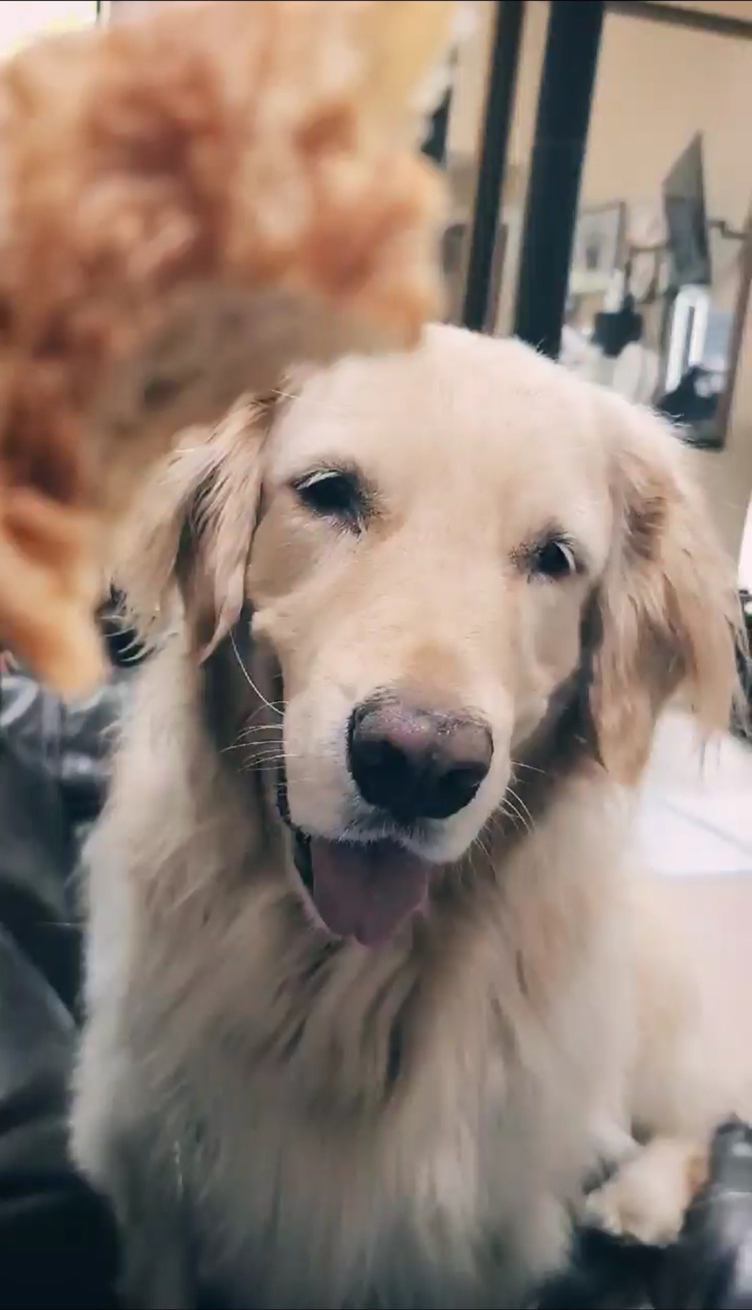 Screenshot_20220430-161554_Video Player.jpg