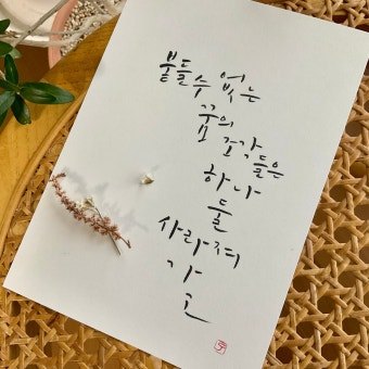 다운로드 (14).jpg