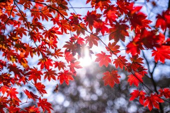 다운로드 (9).jpg