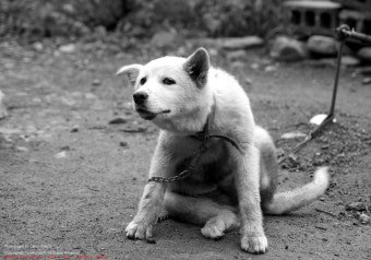 다운로드 (24).jpg