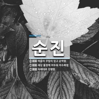 다운로드 (6).jpg