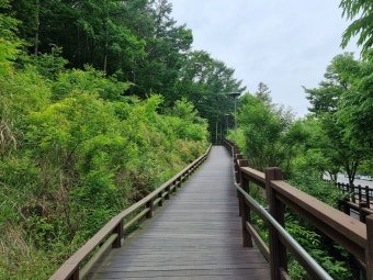 다운로드 (7).jpg