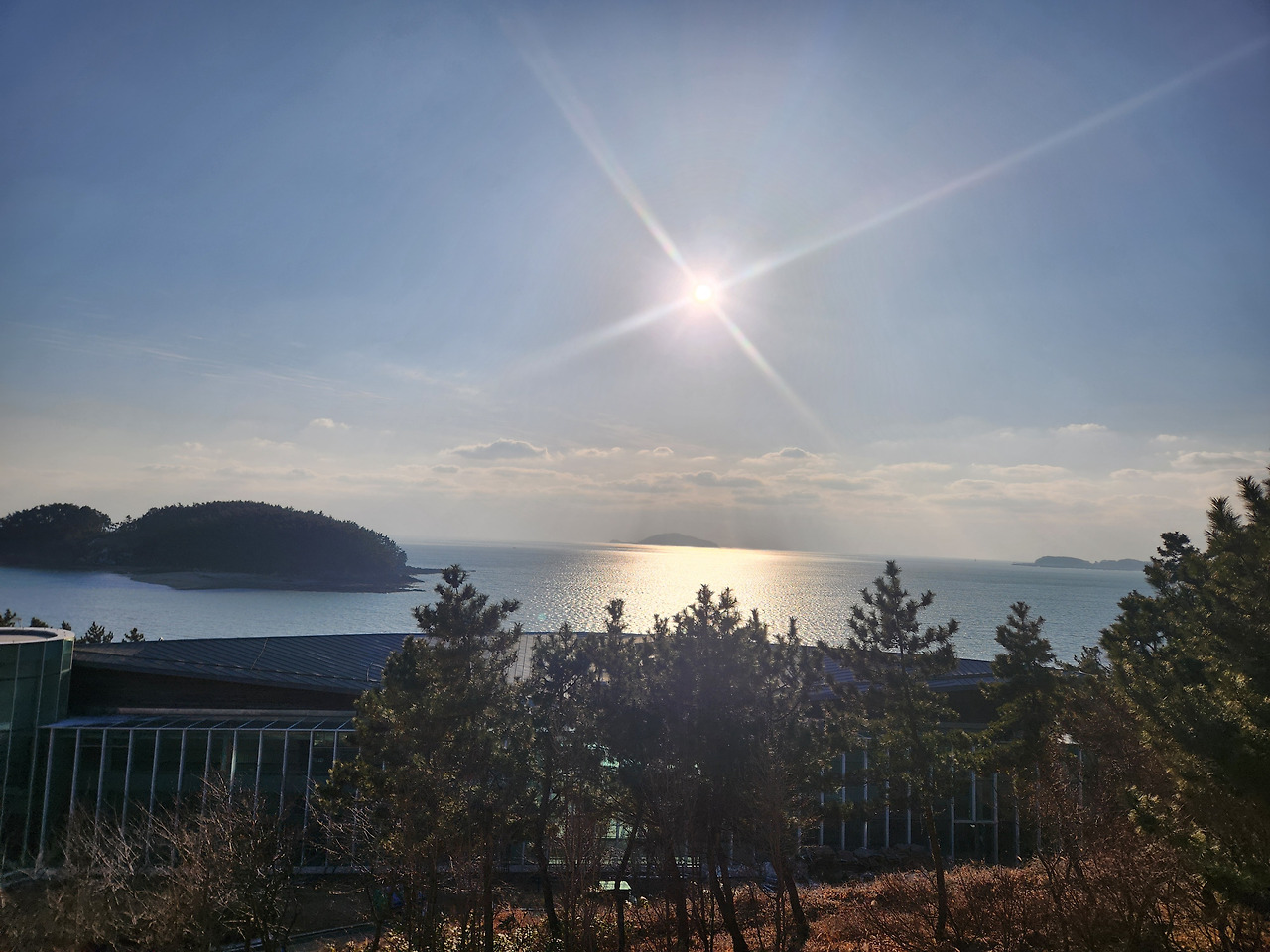 20250222_164921 (1).jpg