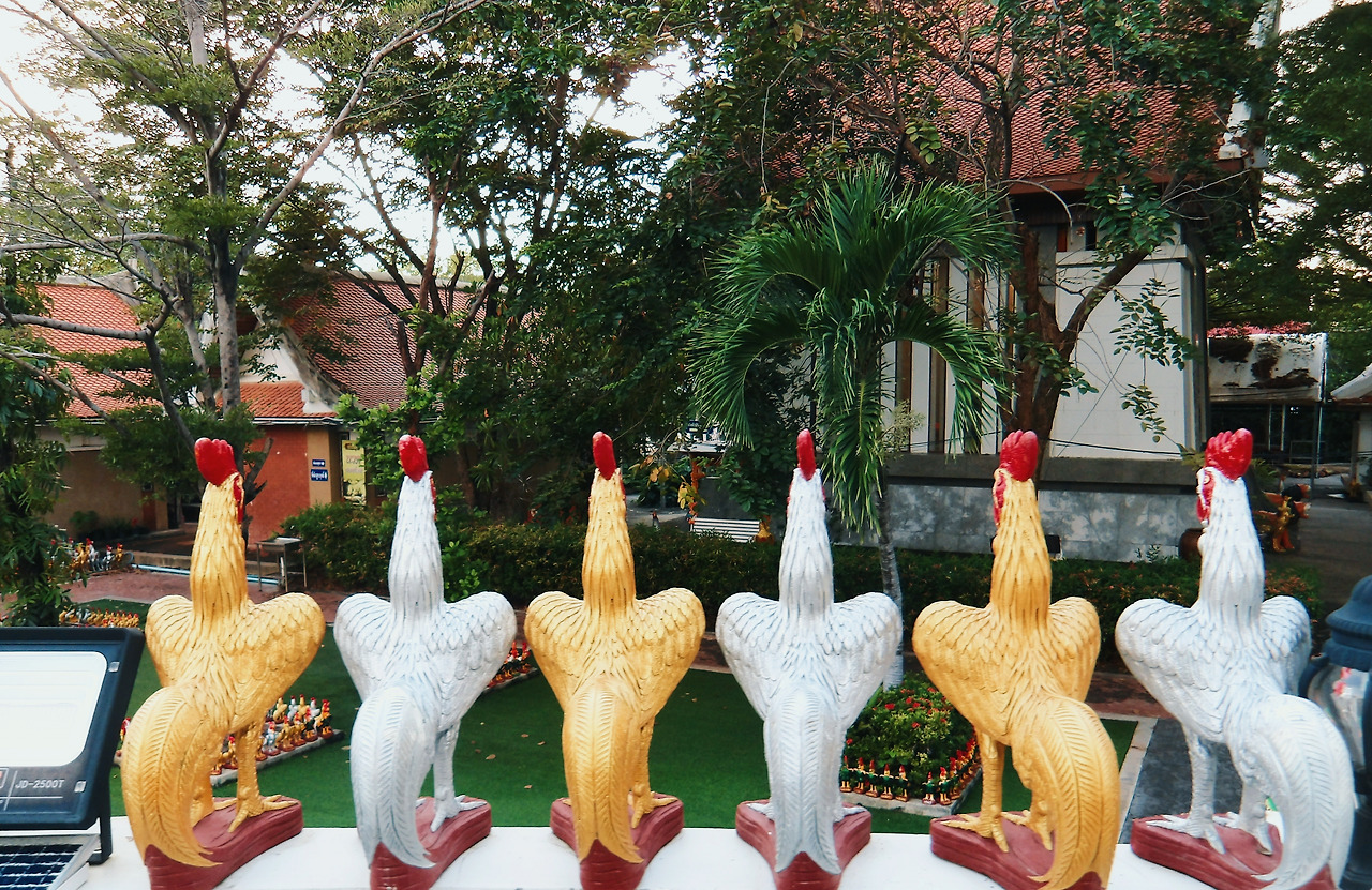 IMGP0136_lab (1).jpg