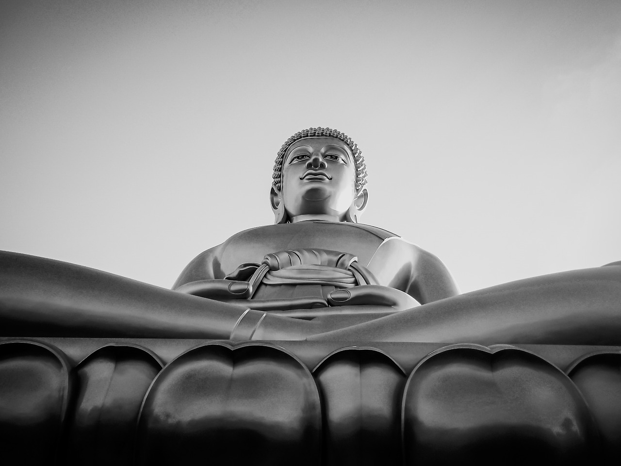 IMGP0119 (1)_lab (1).jpg