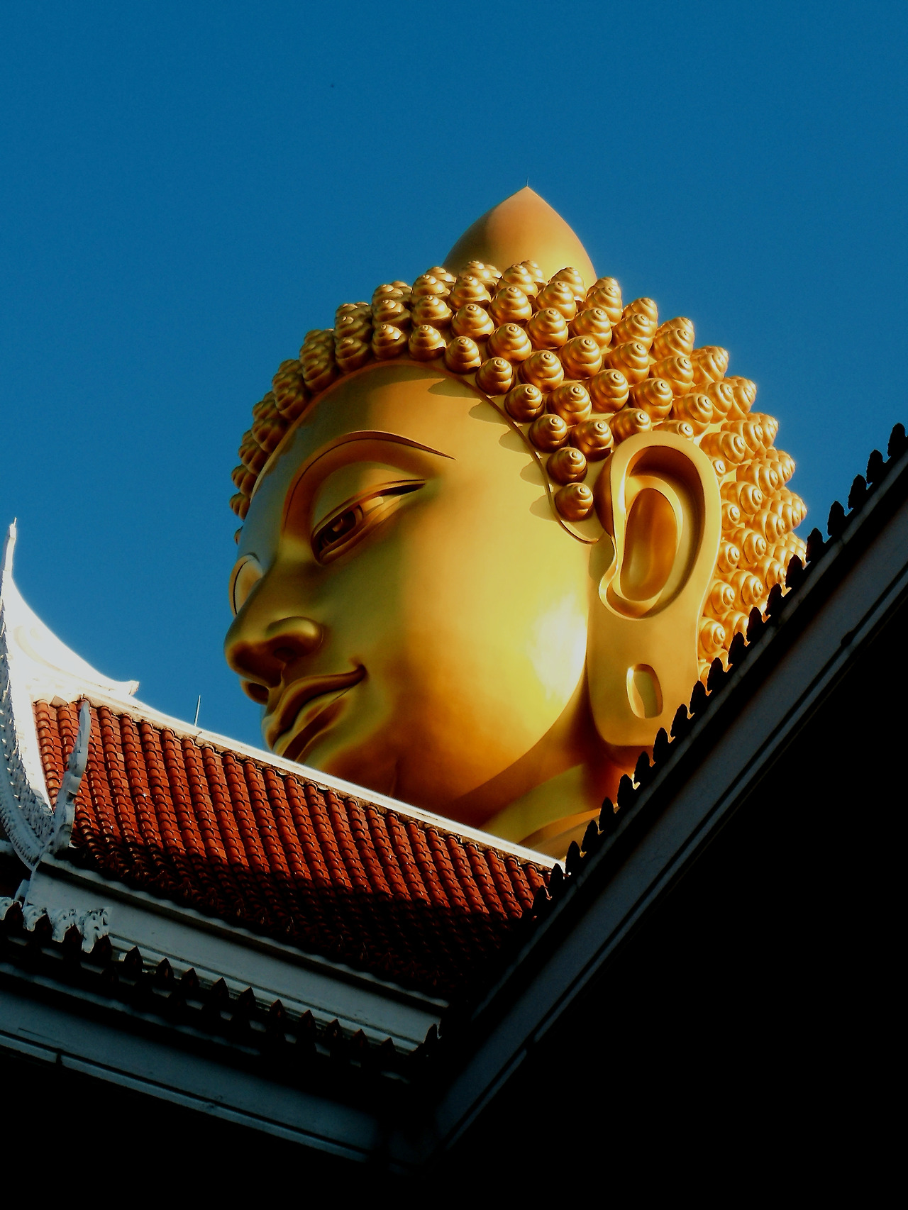 IMGP0115_lab (3).jpg