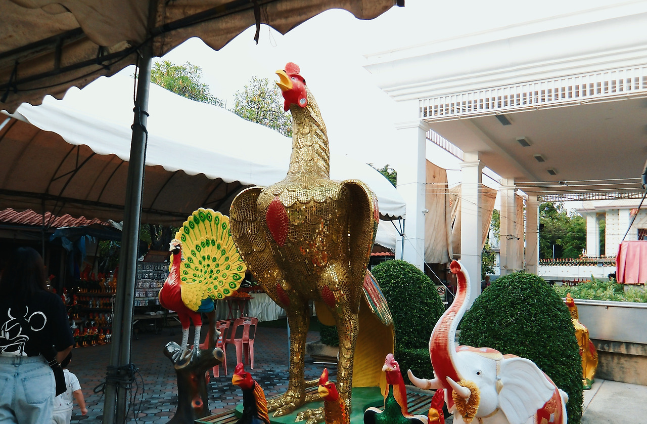 IMGP0123_lab (1).jpg