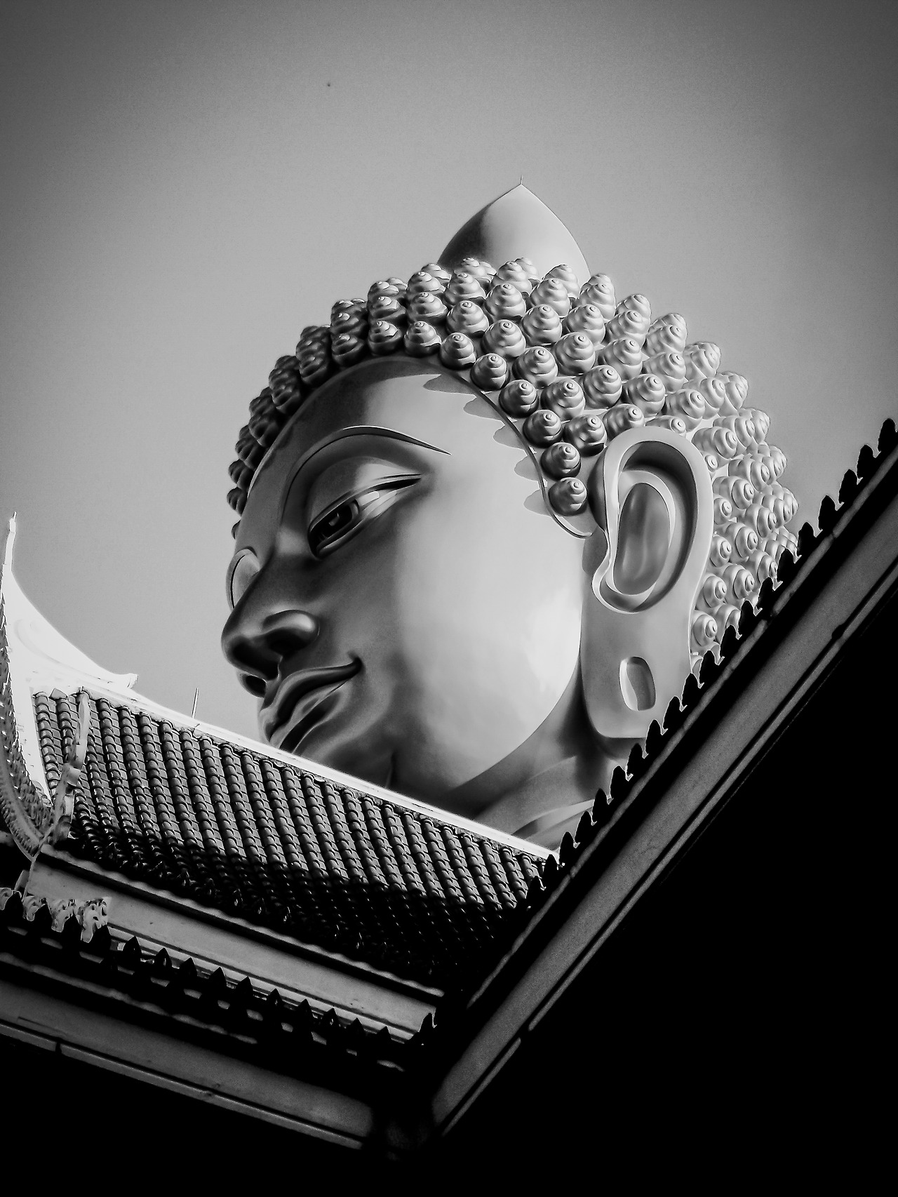 IMGP0115_lab (3).jpg