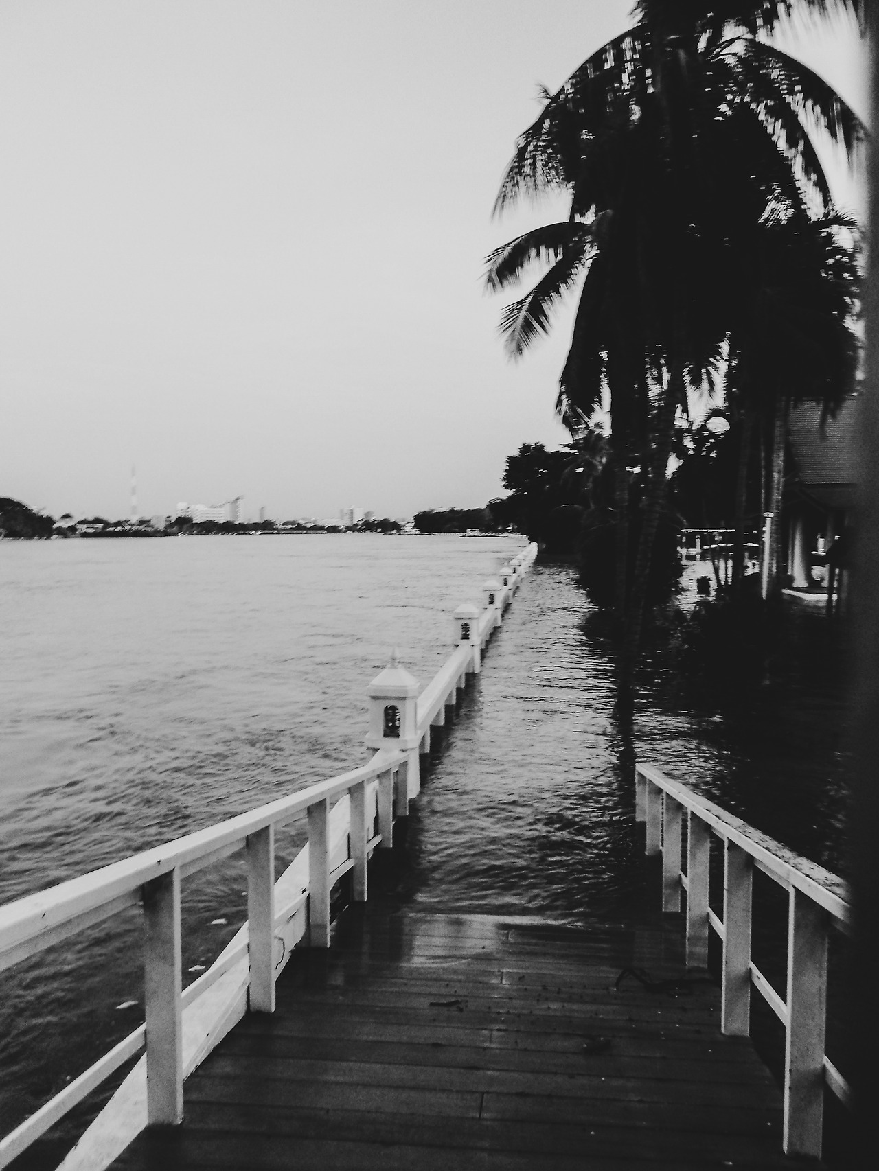 IMGP0159 (1)_lab.jpg