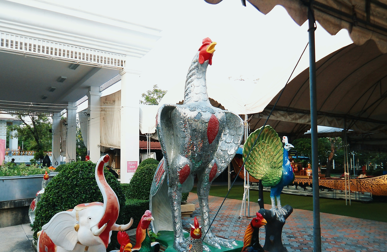 IMGP0124_lab (1).jpg