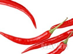 영준 홍고추.jpg