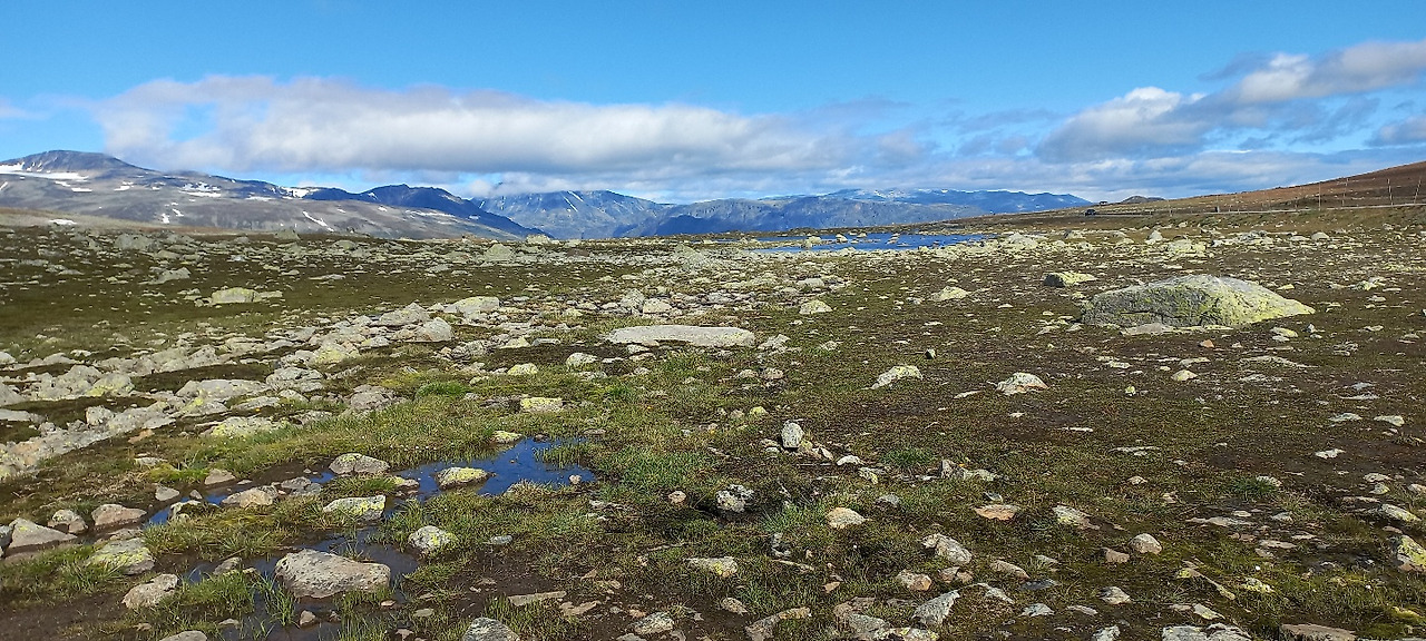 00 20220922_095321801_03.jpg