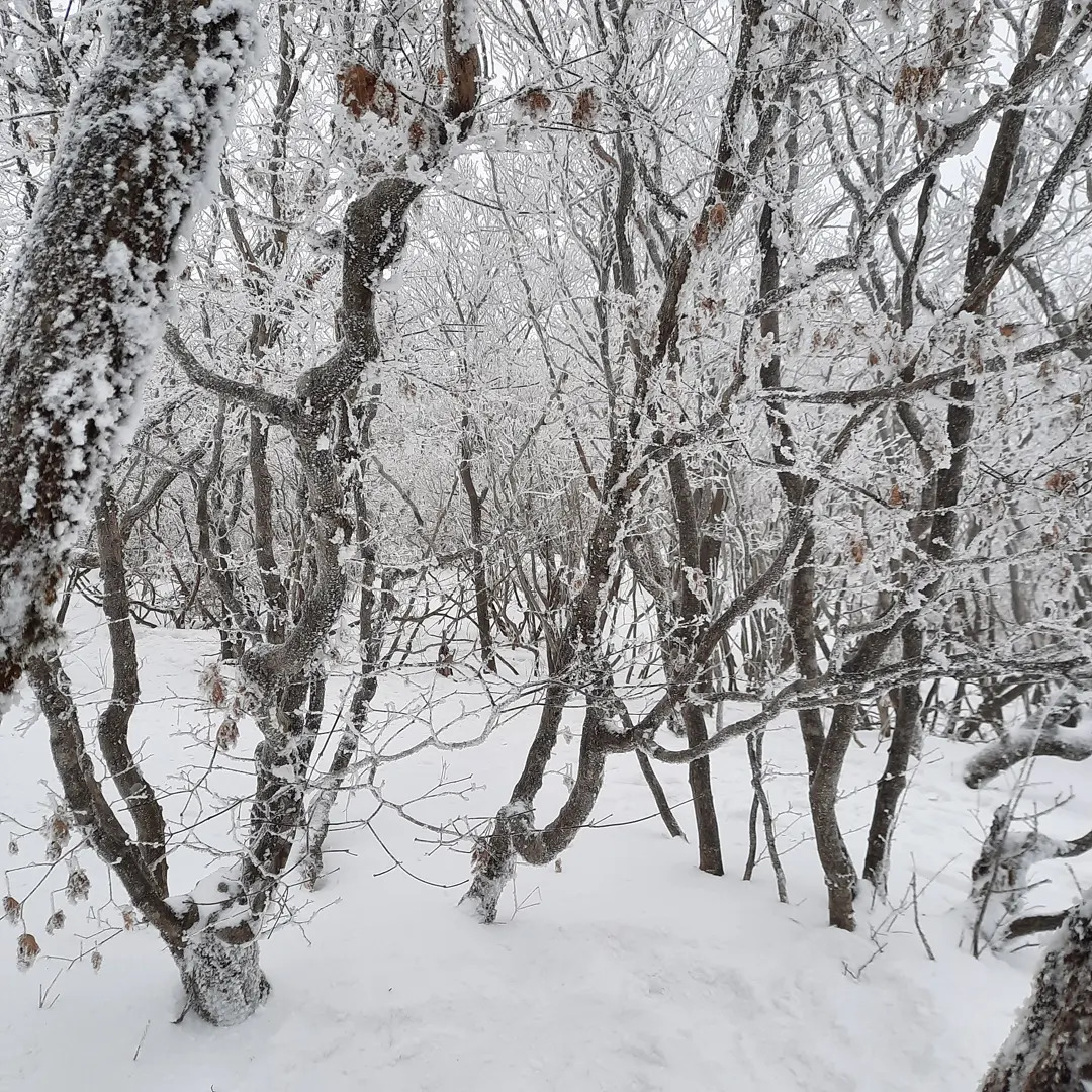 무주덕유산 사진 (7).jpg