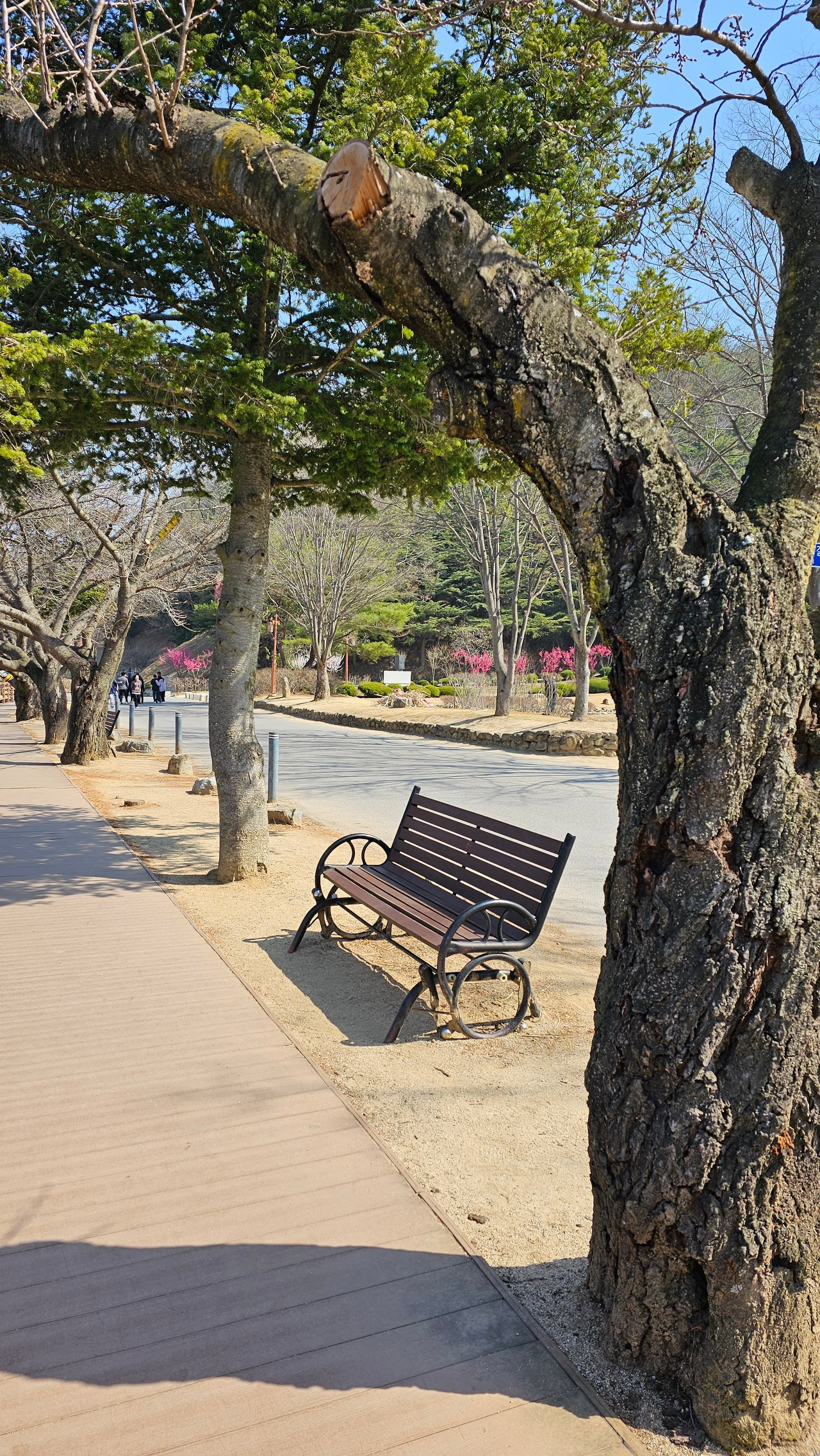 무료 카지노 게임