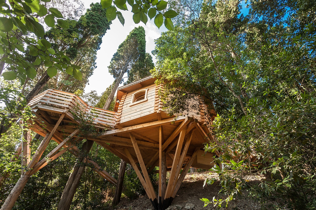 트리하우스.jpg