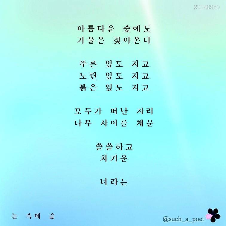 20240930 눈 속의 숲.jpg