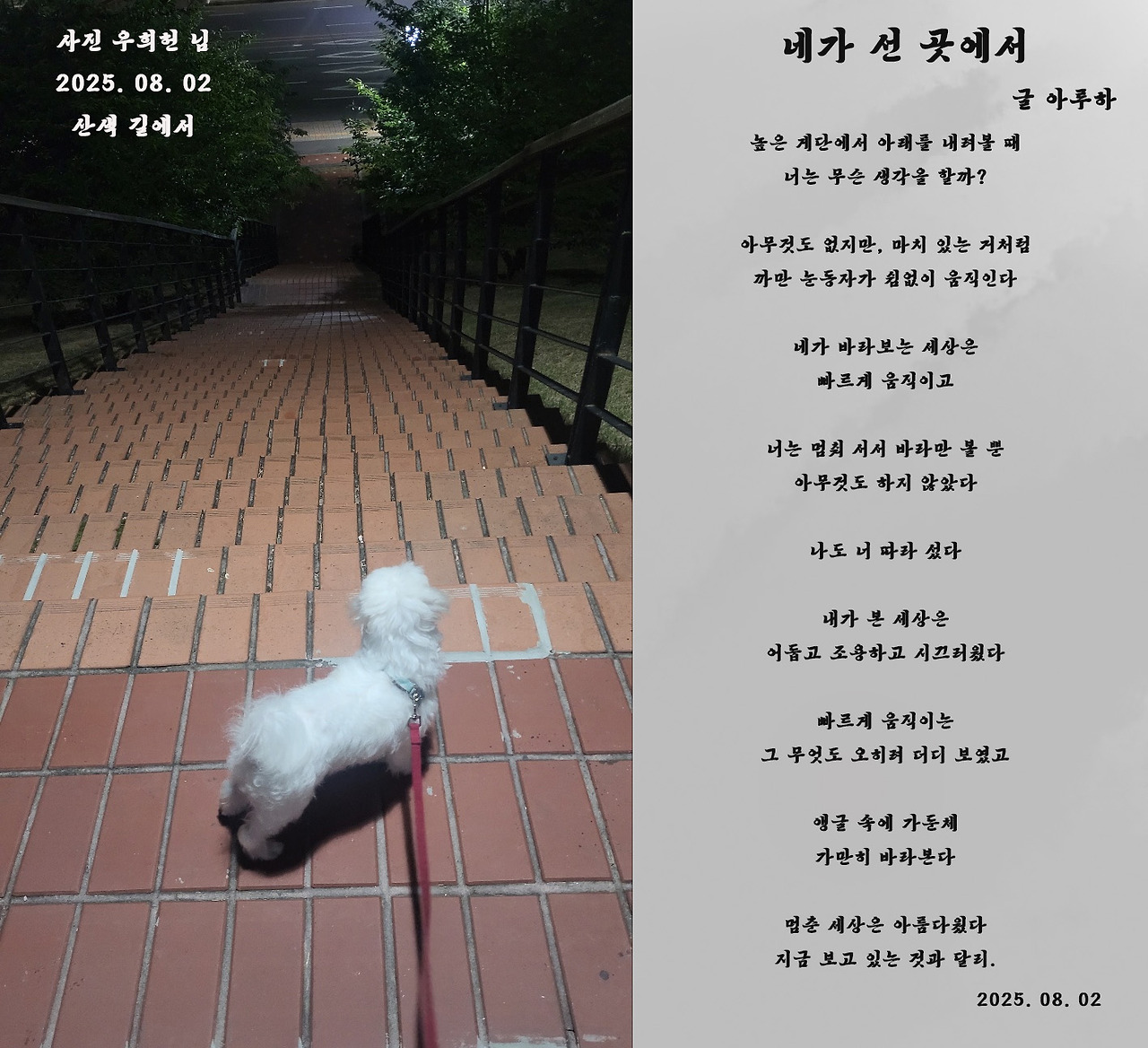 20250803 네가 선 곳에서.jpg