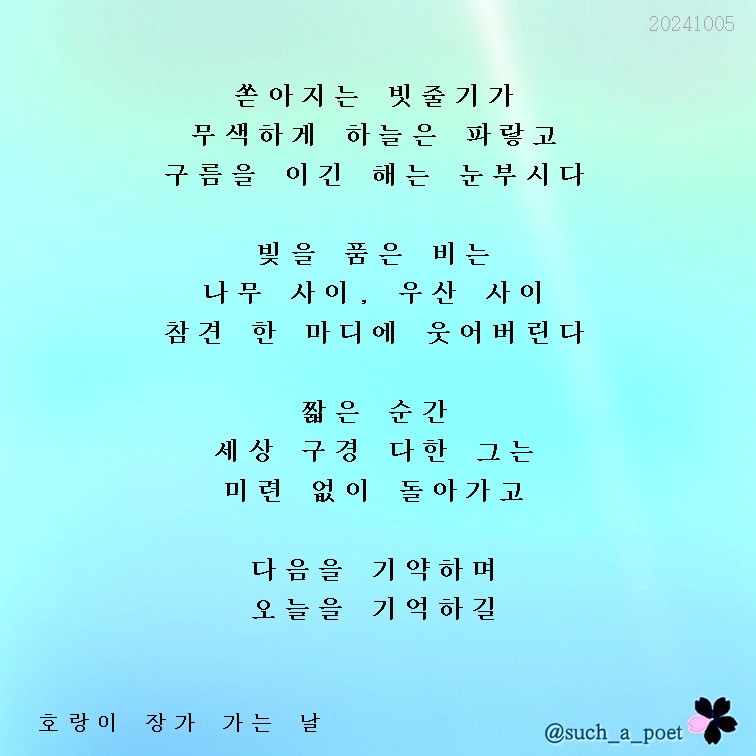 20241005 호랑이 장가 가는 날.jpg