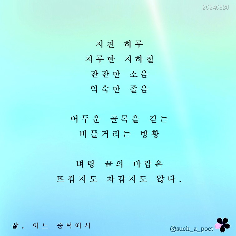 20240928 삶, 어느 중턱에서.jpg