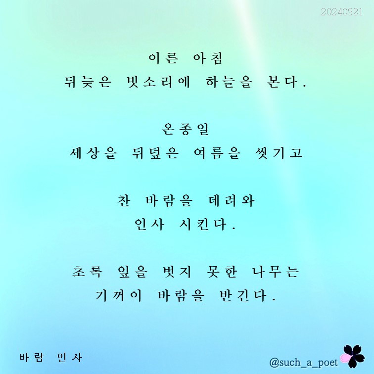 20240921 바람 인사.jpg