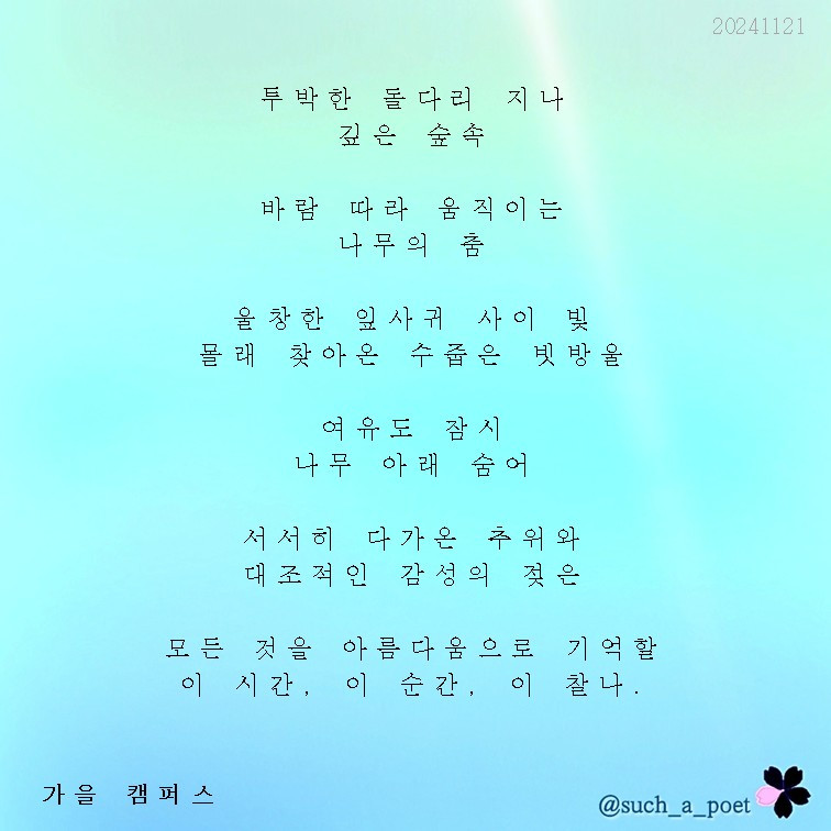 20241121 가을 캠퍼스.jpg