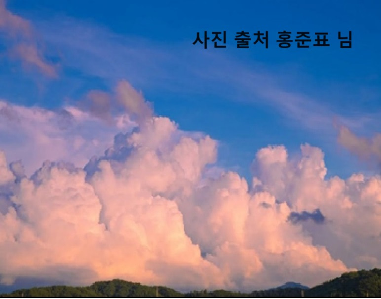 13화 구름_홍준표님.jpg