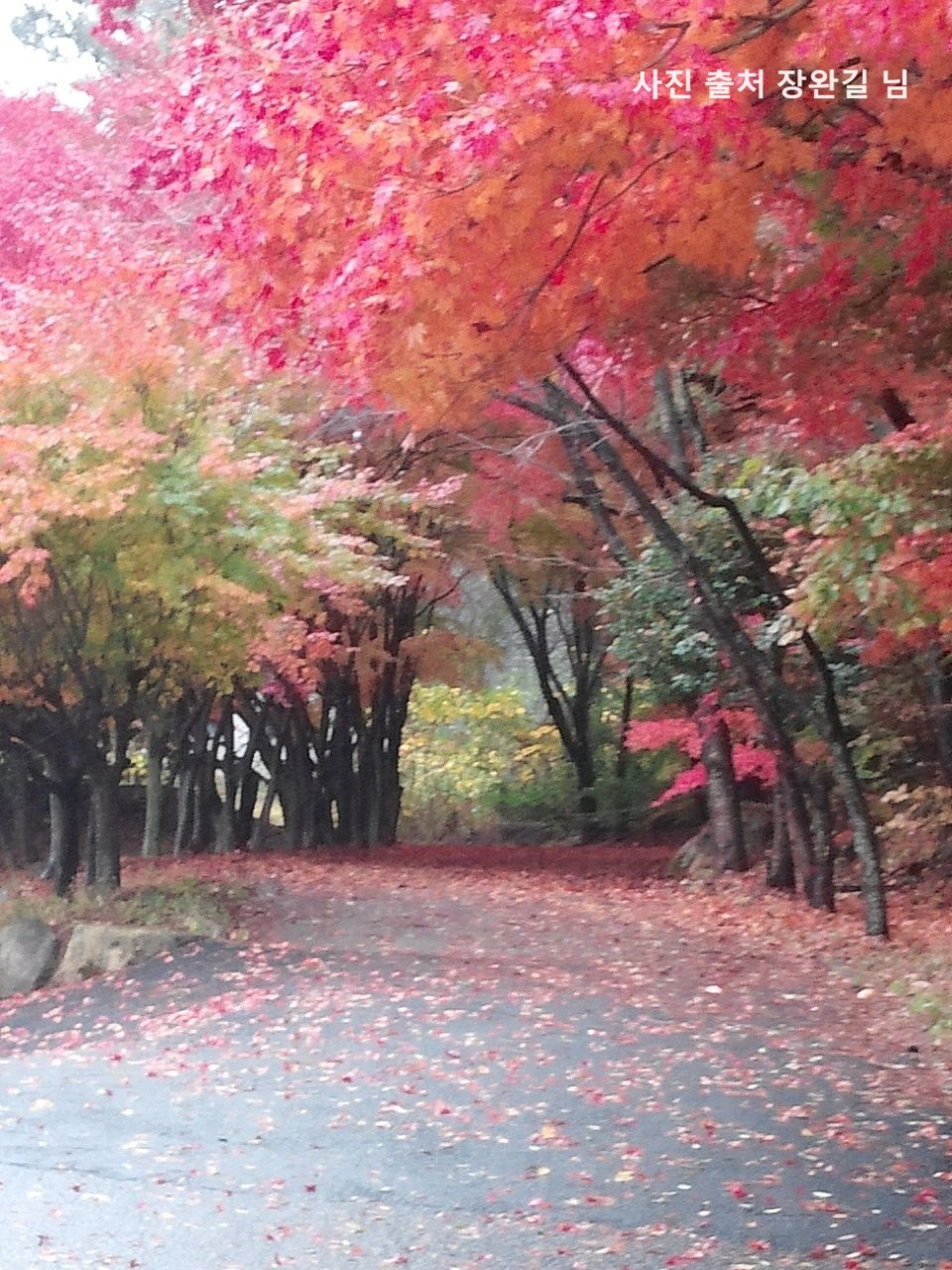 03화 글감_나만의 비밀.jpg