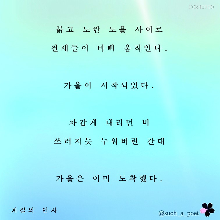 20240920 계절의 인사.jpg