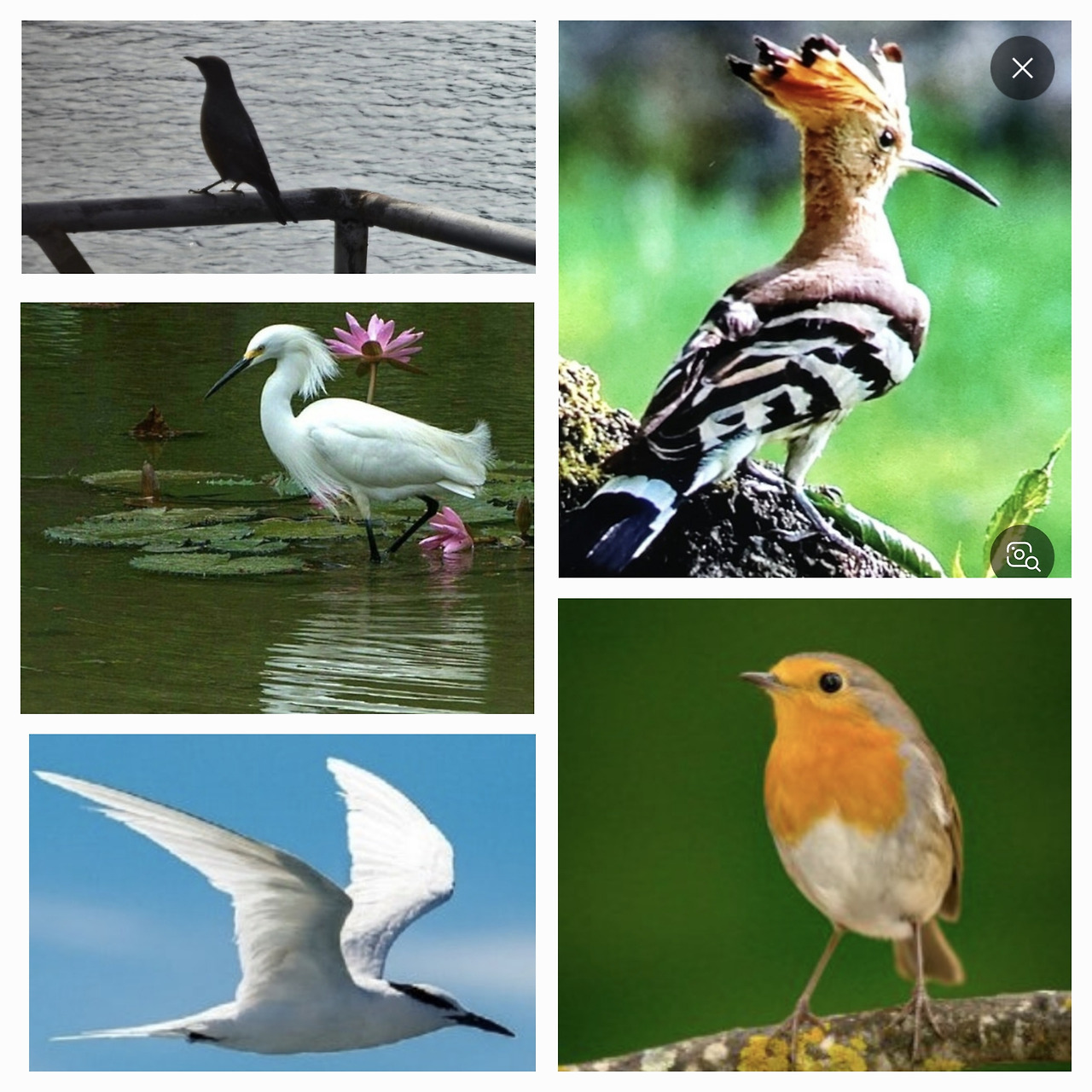 20250616 새모델.jpg