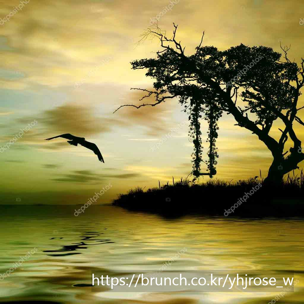 20251210풍경 사진.jpg