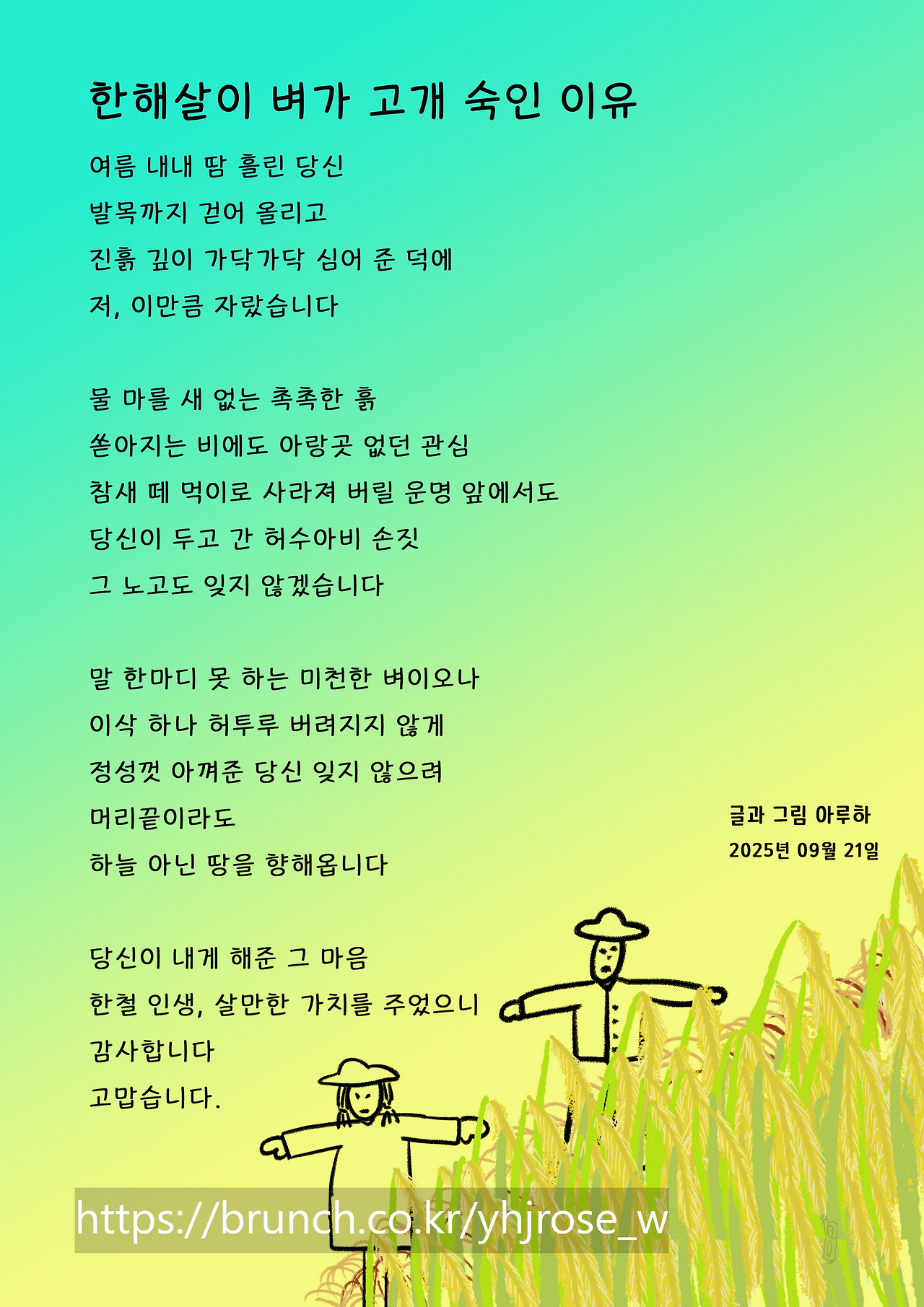 20250921_한해살이 벼가 고개 숙인 이유.jpg