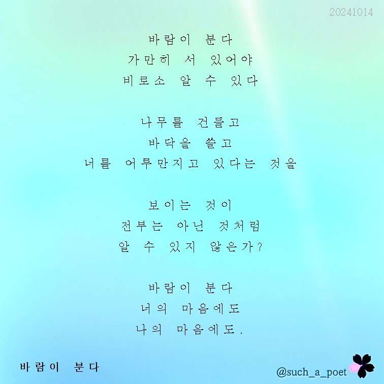 20241014 바람이 분다.jpg