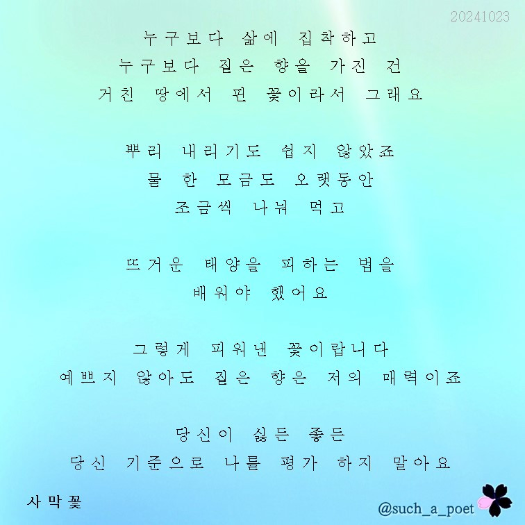 20241023 사막꽃.jpg