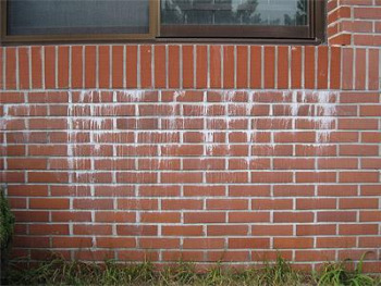 18 벽돌의 백화현상.jpg