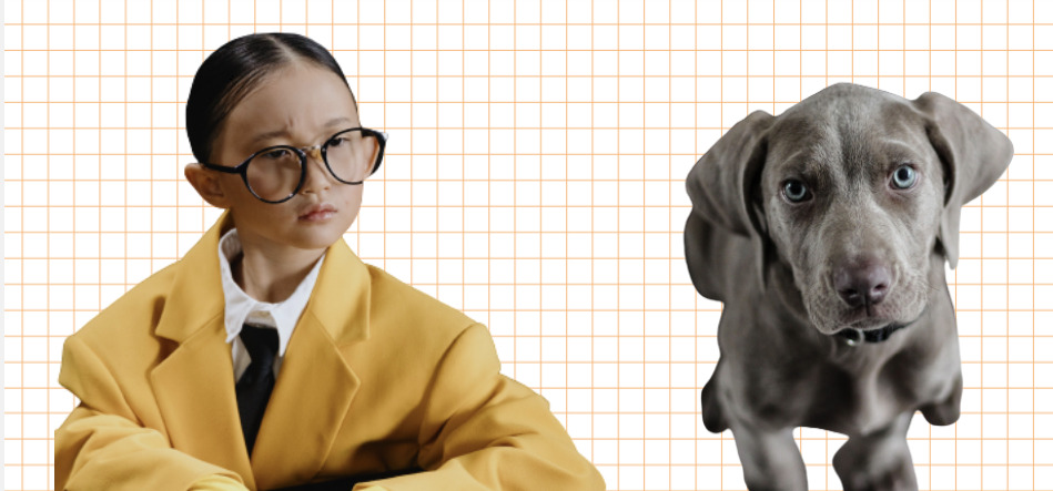 개는 훌륭하다2.jpg