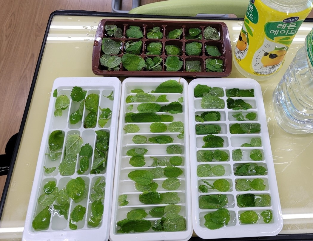 KakaoTalk_20220709_220528993_07 (2).jpg