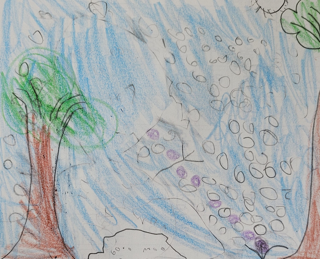 주호 그림(제비꽃의 봄).jpg