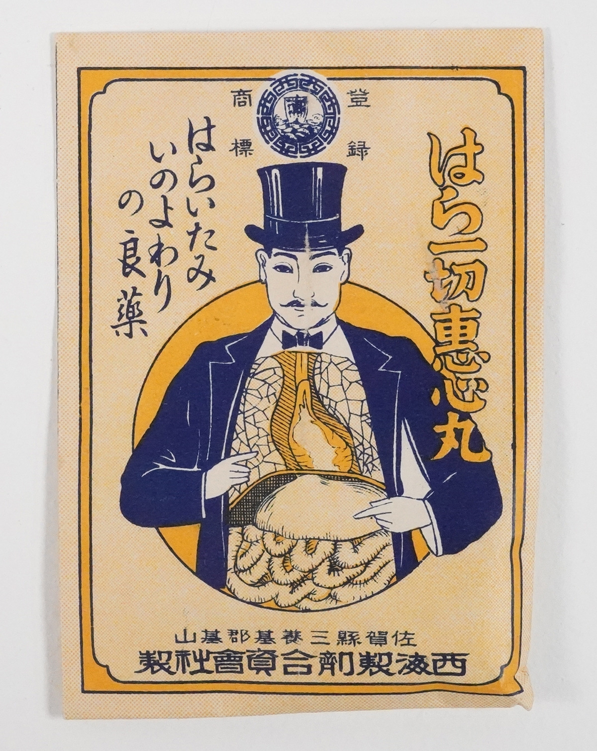 배 전체 혜심환_매거진.jpg