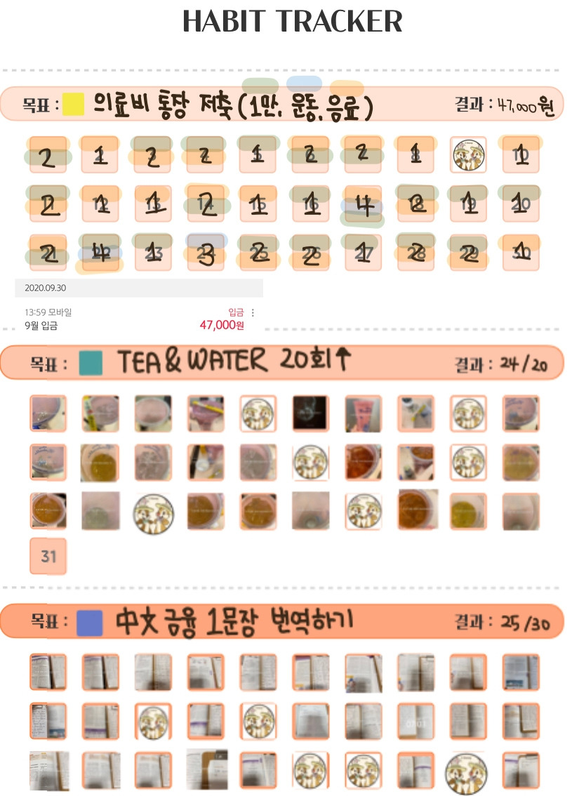 9월 결산, 요니나 가계부 양식 쓰는법 (종이  굿노트 PDF 가계부)﻿.jpg