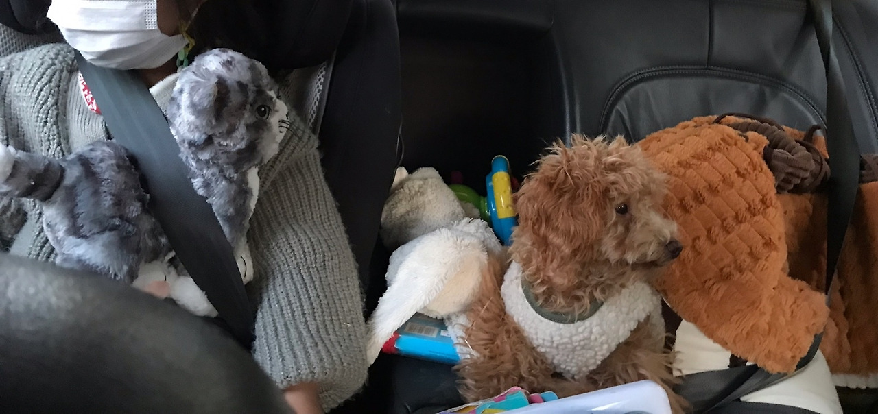 가는길 안전벨트.jpg