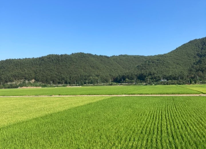 정동진 시골 풍경.jpg