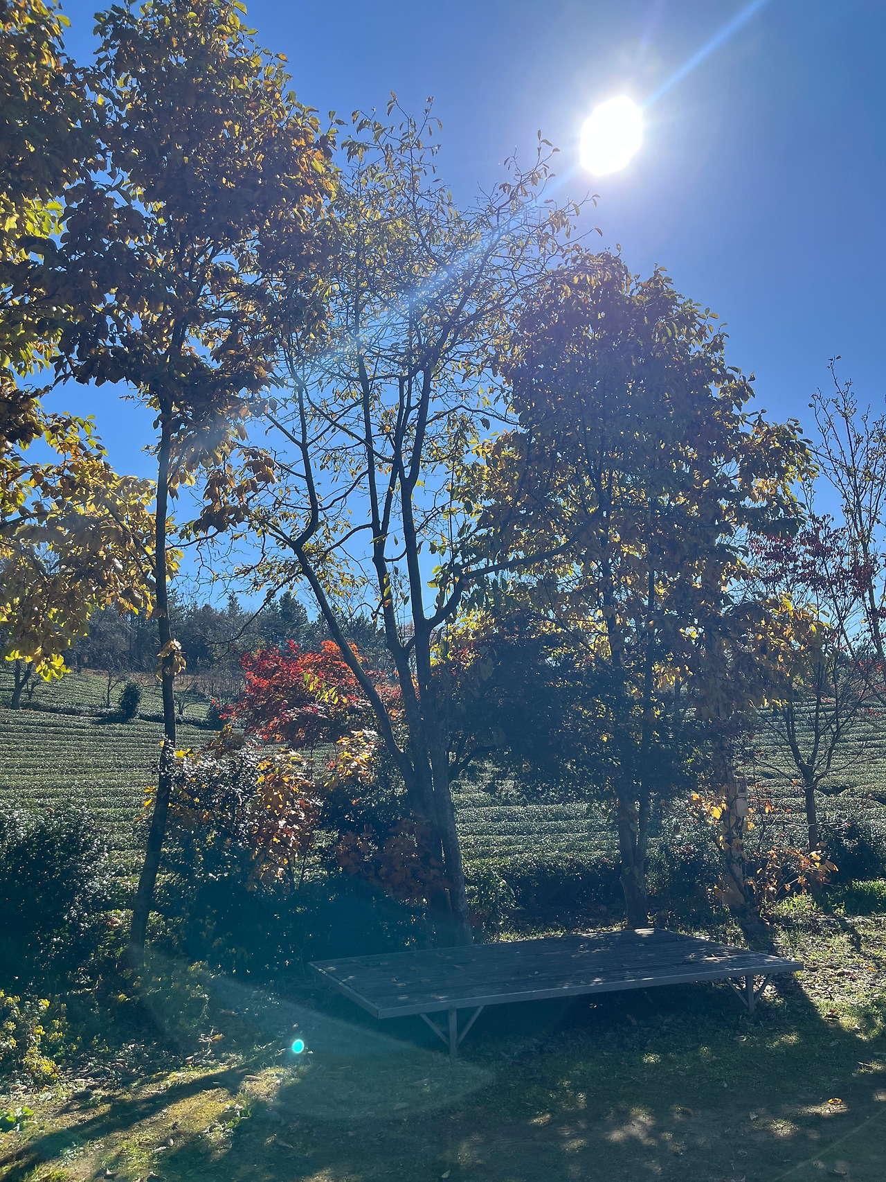 평상 아래 나날들.jpg