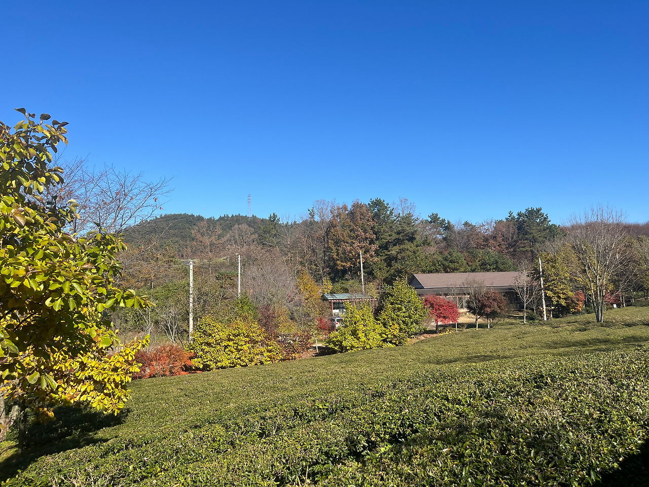 한사로운 풍경.jpg